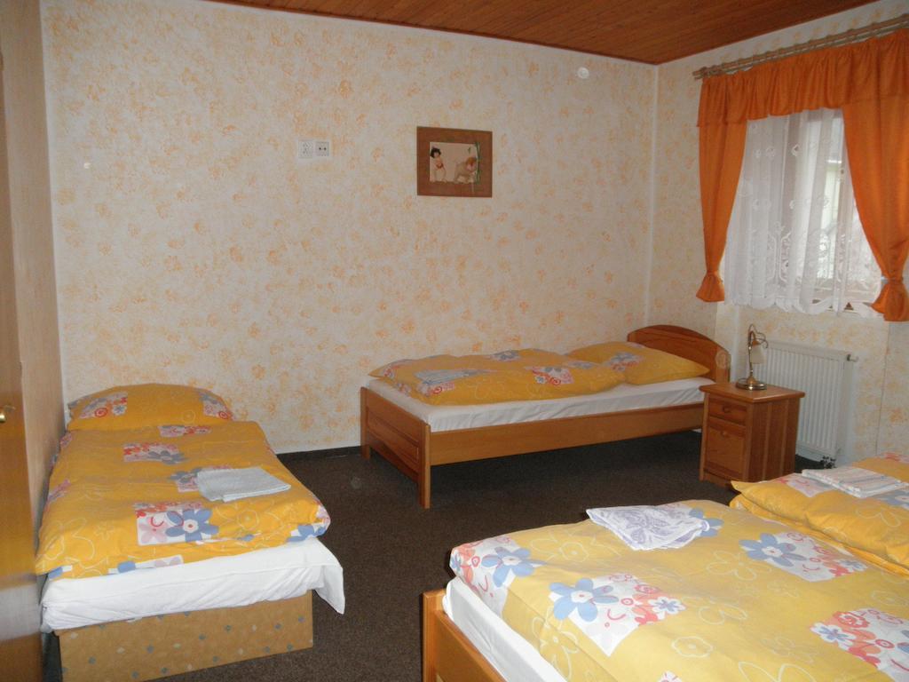 Pension Mikulas V Krusnych Horach Mikulov v Krusnych Horach Zimmer foto